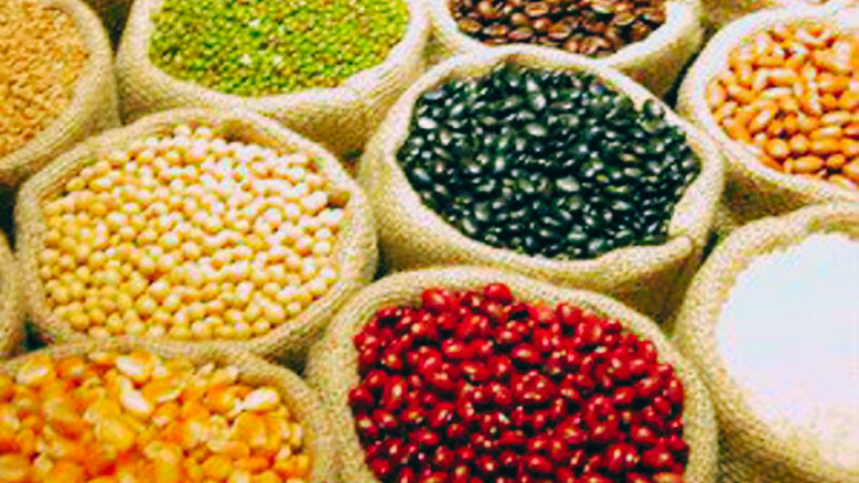 POLIDORO COMERCIO ATACADISTA - importação e exportação de alimentos e de grãos Oriente Médio